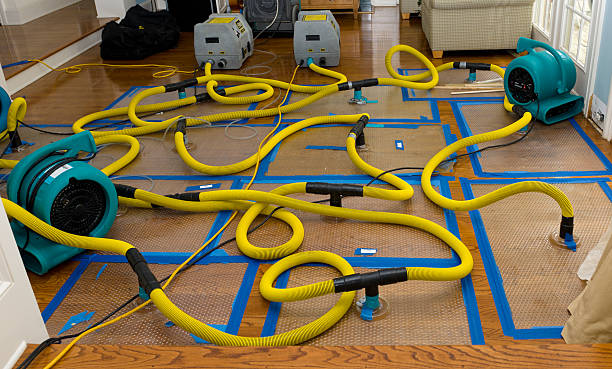 Professional Water Damage Repair technician working in Hamilton, VA